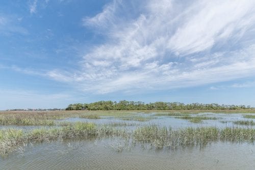tybee island marshes