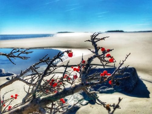 mermaid cottages new year resolutions