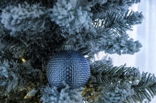 tybee island christmas