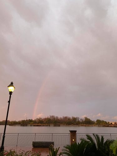 out and about in savannah