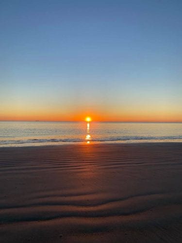 tybee time walks with the midwest mermaid
