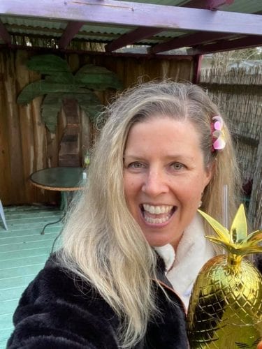 southern hospitality with the midwest mermaid