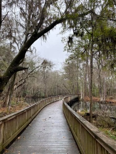 the midwest mermaid canal walk