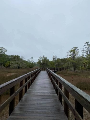 southern hospitality with the midwest mermaid