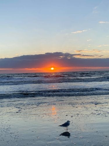 the midwest mermaid tybee island sunset