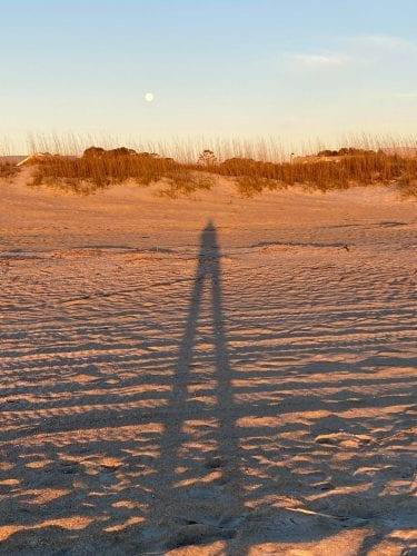 tybee island wolf moon the midwest mermaid