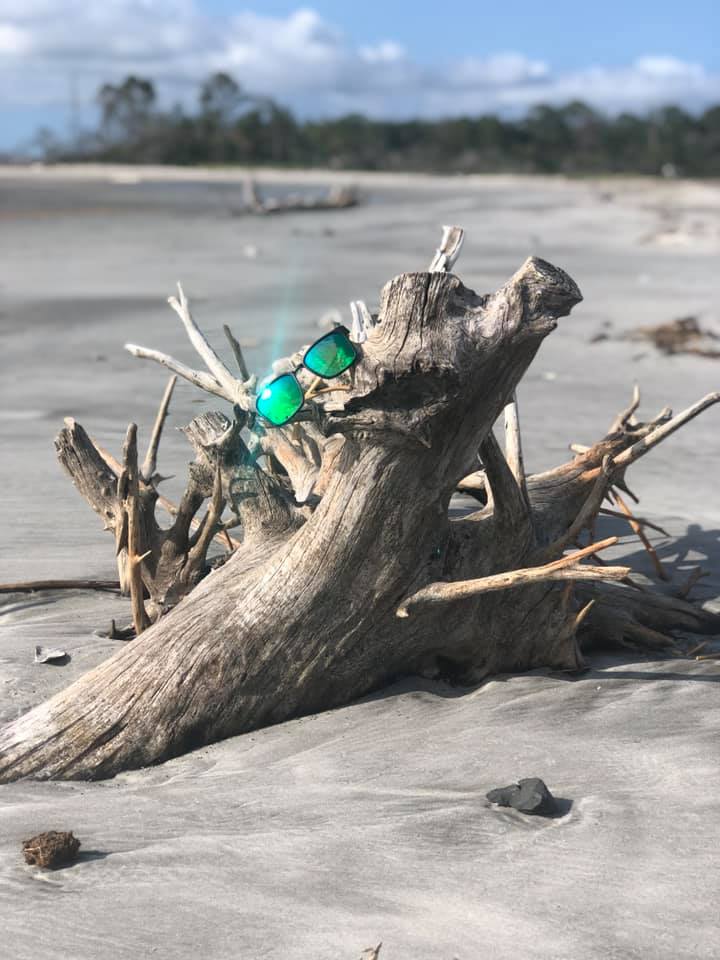 tybee driftwood melissa saltzer