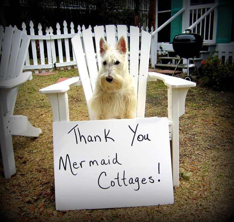 Maggie loves Blue Heron Cottage