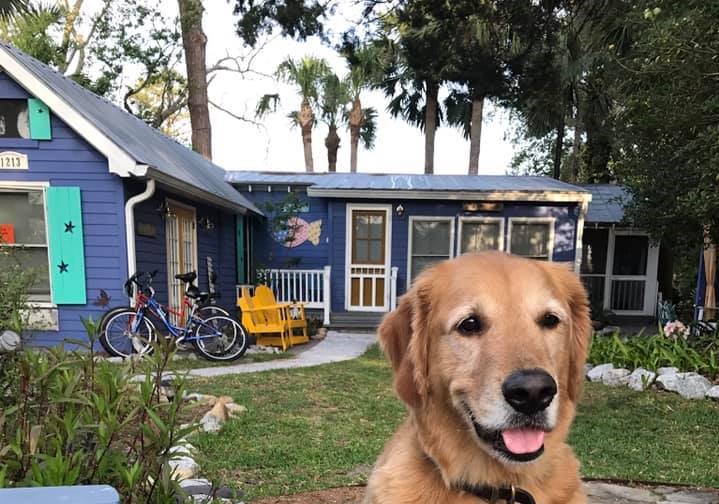 pet friendly fish camp cottage
