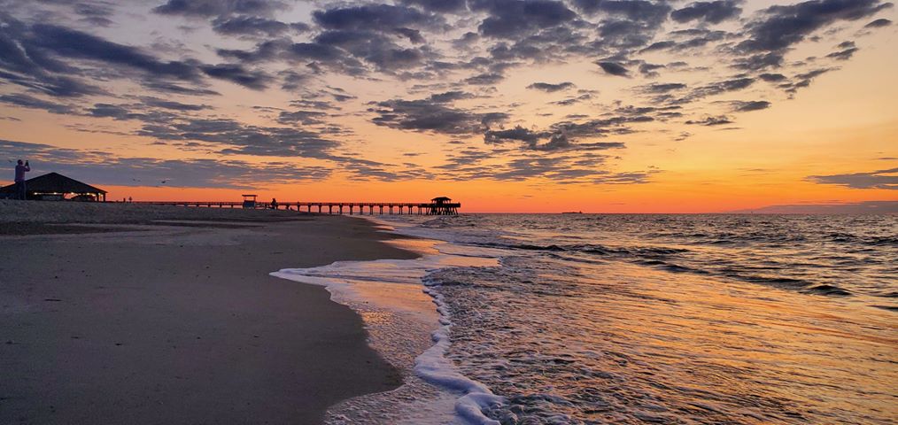 tybee island sea turtle nesting season