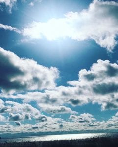 our mermaid guests say it best