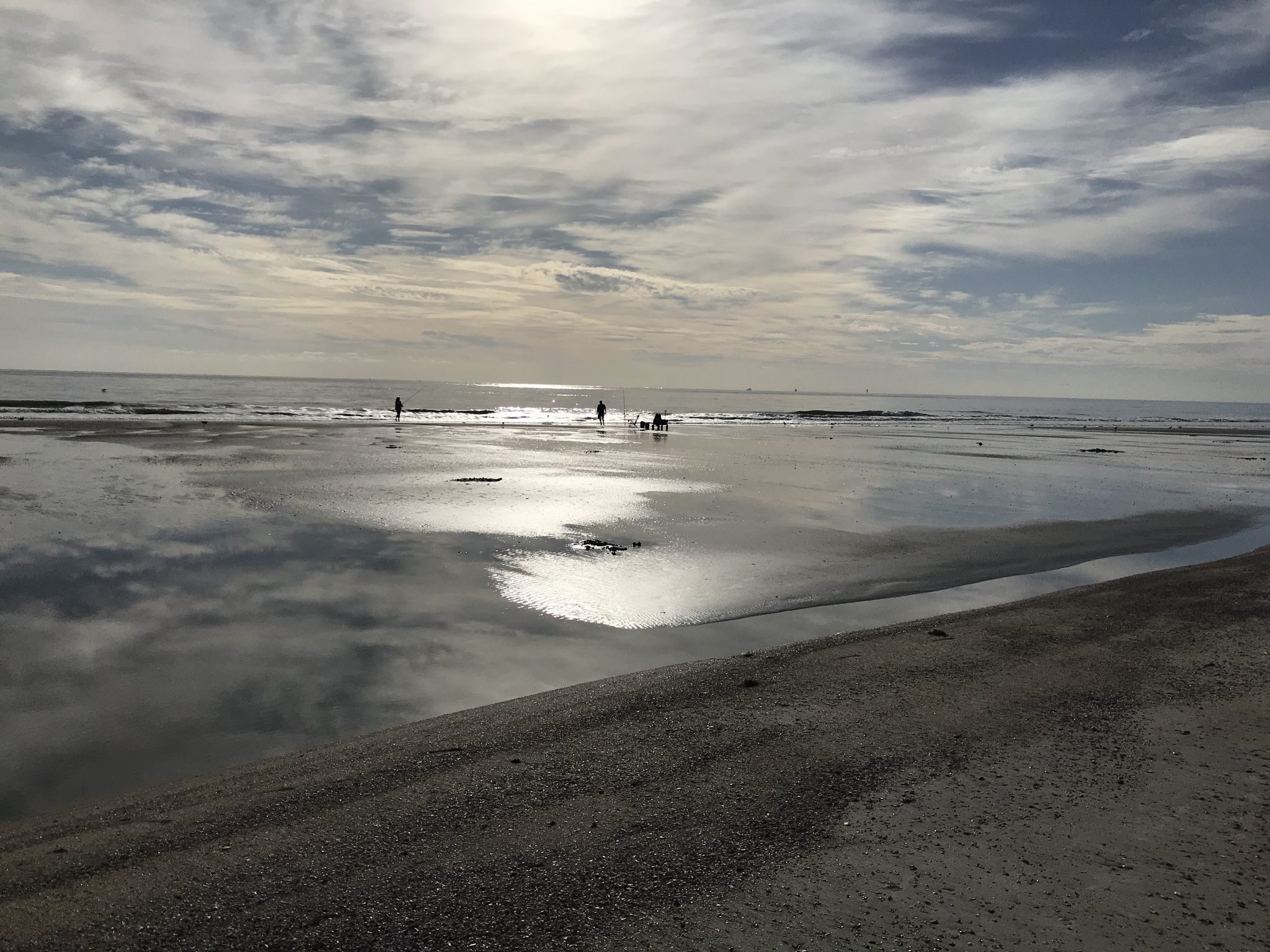 our mermaid guests say it best