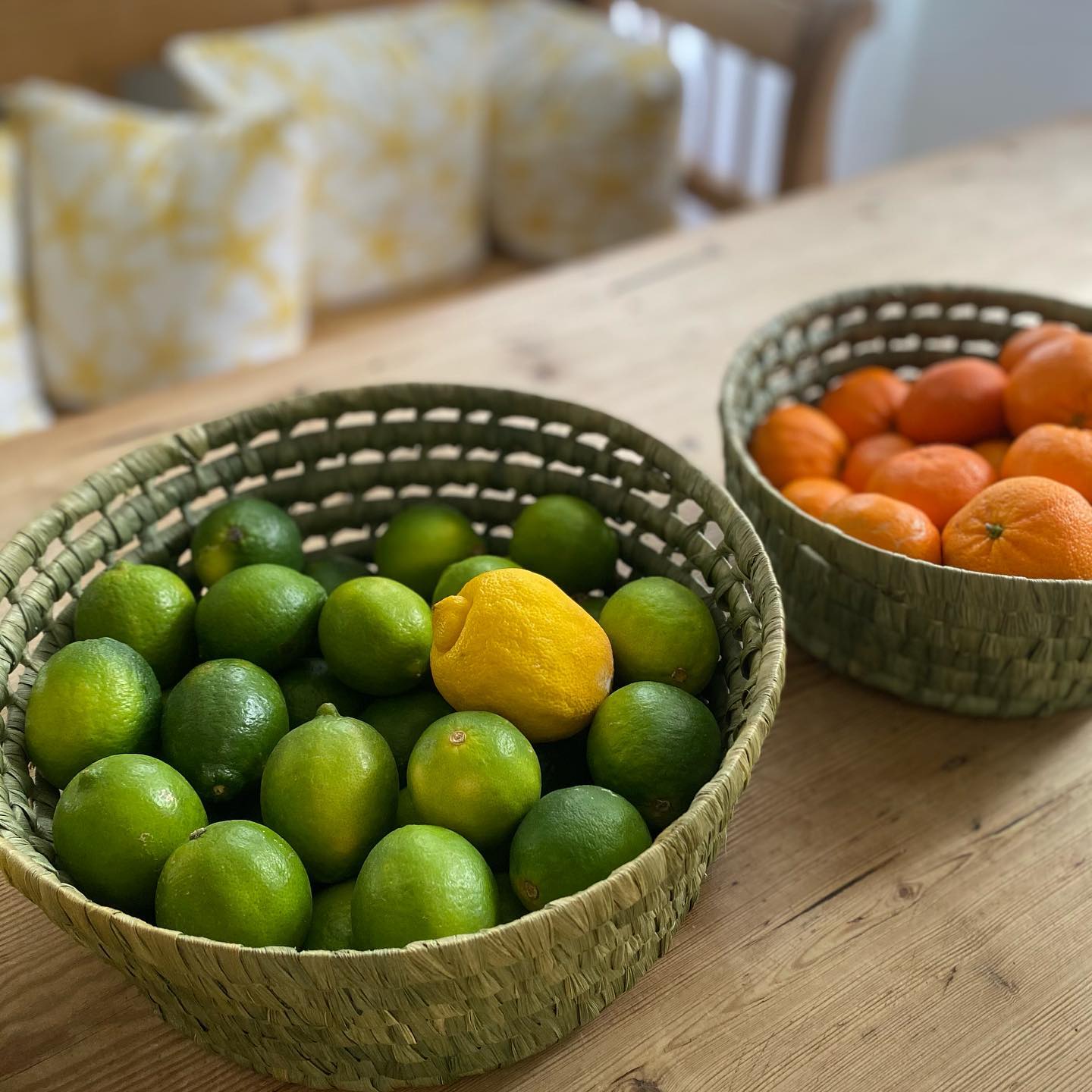 mermaid guests recommend