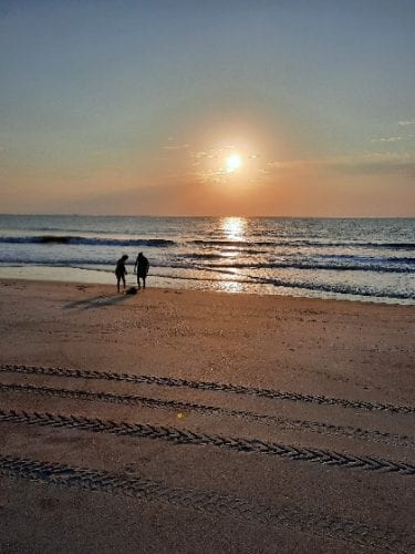 mermaid guests recommend