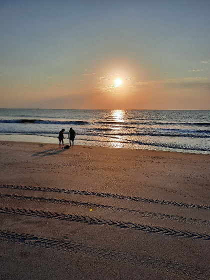 mermaid guests recommend 