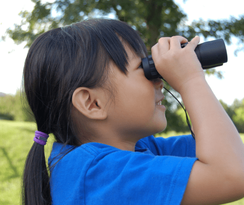 bird watching on tybee island