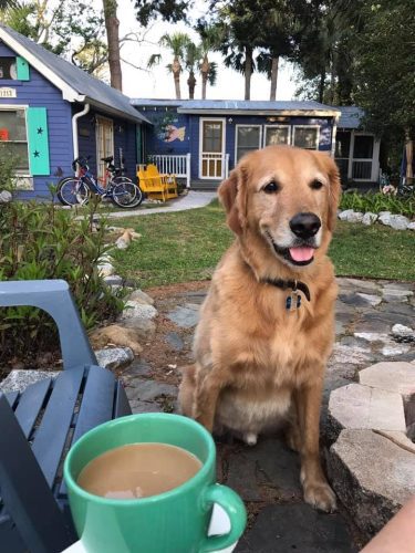 pet friendly fish camp