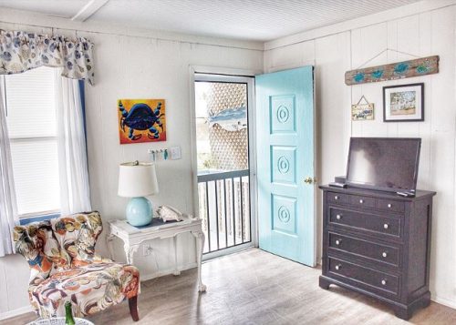 catnip for christmas